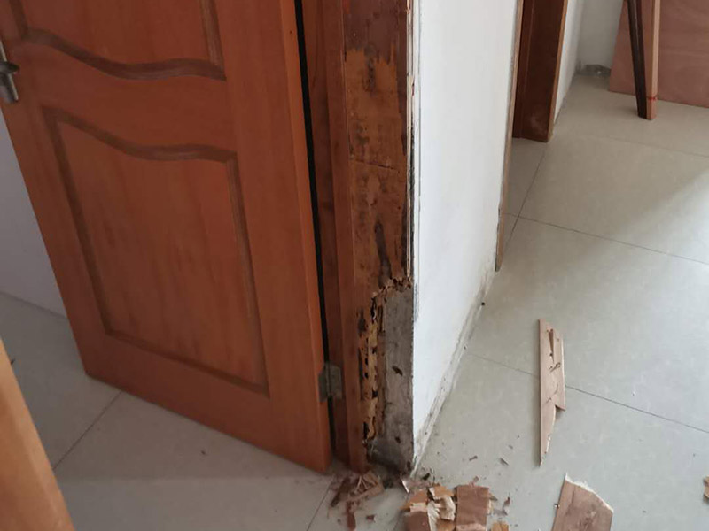臥室門框維修：1.漆面表面劃傷用bai一只顏色與家具相同的普du通的繪圖用蠟筆，在劃痕zhi上劃一劃，使其與周邊漆面dao高度相同，再薄薄地涂上一層透明的清漆就可以了；2.油漆剝落修復(fù)，清漆家具表面小塊油漆剝落后可取同色廣告顏料涂補(bǔ)，再用清漆涂在表面，即完好如初3.裂縫填補(bǔ)用油灰和顏料拌勻后嵌入堵平，但要注意顏料要和原油灰的顏料、原油漆色彩一致，以防留下疤跡