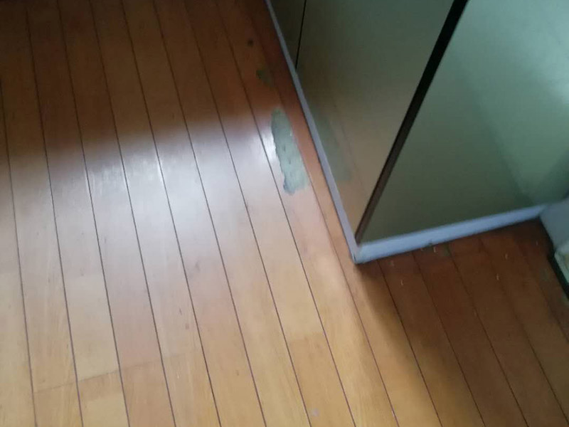 地板局部維修翻新：起下需替換的地板。用一字螺絲刀即將替換的地板短邊處鑿出一個1厘米長的縫隙,再用曲線鋸將需替換的地板表面鋸成十字形的鋸縫;然后將分紅四小片的地板取出。 整理膠水。用鋼鋸條整理原接口殘留的膠水,并確保整理好的榫槽便于裝置,假如整理不完全,接縫會不平或不嚴(yán)。能夠用有新榫頭小片地板在接口上來回滑動,找出殘留膠跡并鏟除,使修正后的地板漂亮。
